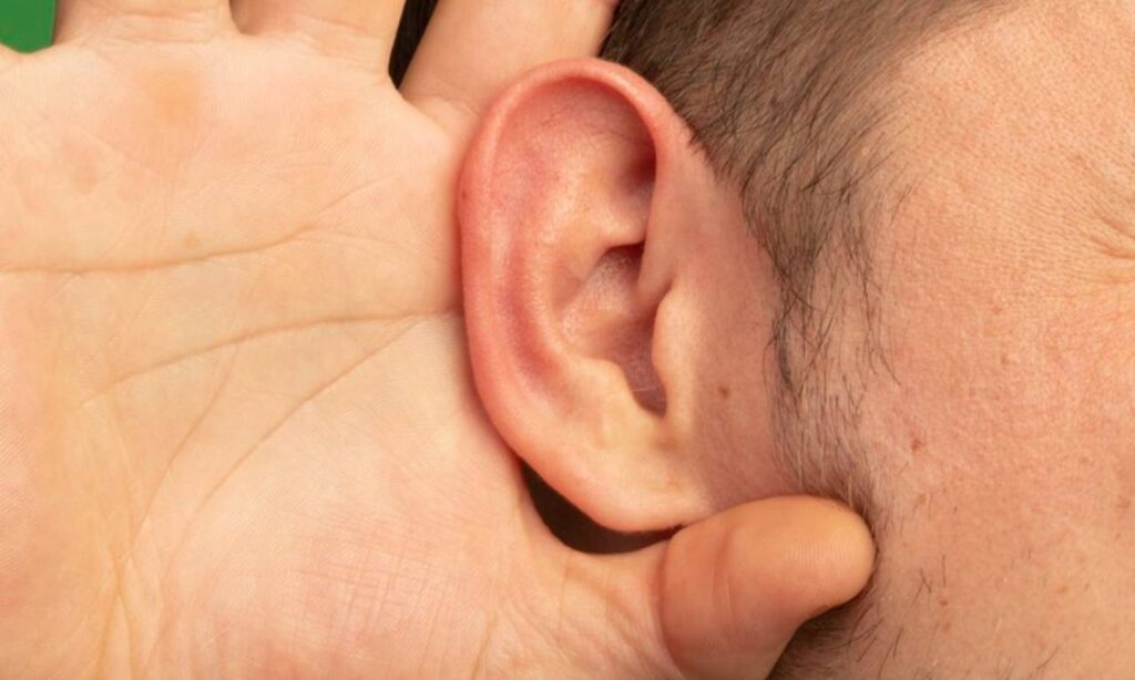 médecine impression 3d oreille humaine
